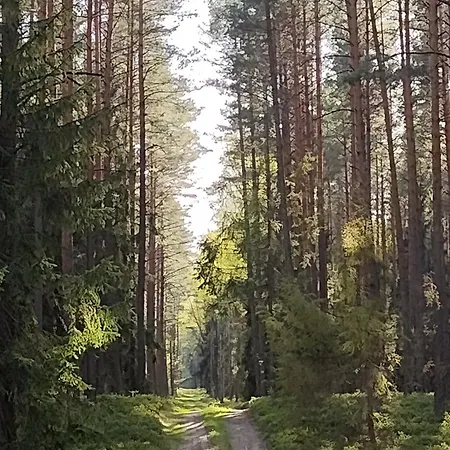 Dom Pod Jablonka Hébergement de vacances